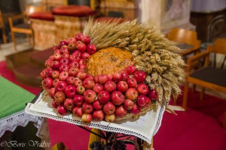 Utrinki z Martinovega sejma in blagoslova vina 9